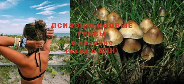 а пвп мука Алексеевка