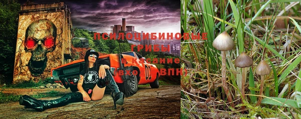 ГАЛЛЮЦИНОГЕННЫЕ ГРИБЫ Алексин